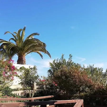 Perfect For Exploring Local Areas And