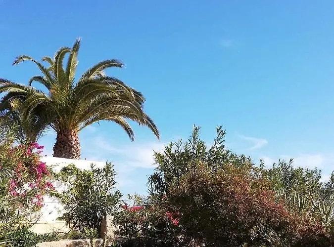 Perfect For Exploring Local Areas And