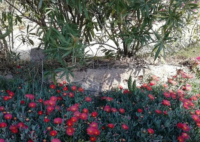 Apartment Perfect For Exploring Local Areas And Torrevieja