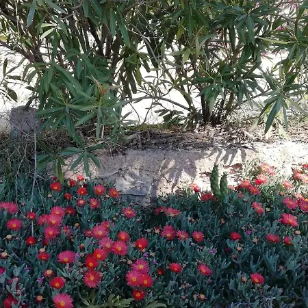 Lejlighed Perfect For Exploring Local Areas And Torrevieja
